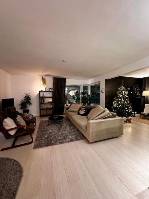 Luxury Penthouse In Center Apartment