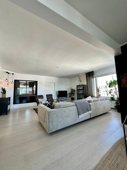 Luxury Penthouse In Center Apartment