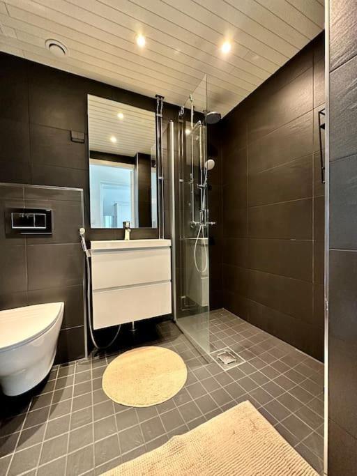 Luxury Penthouse In Center Rovaniemi